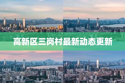 高新区三岗村最新动态更新