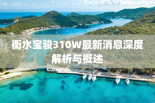 衡水宝骏310W最新消息深度解析与概述