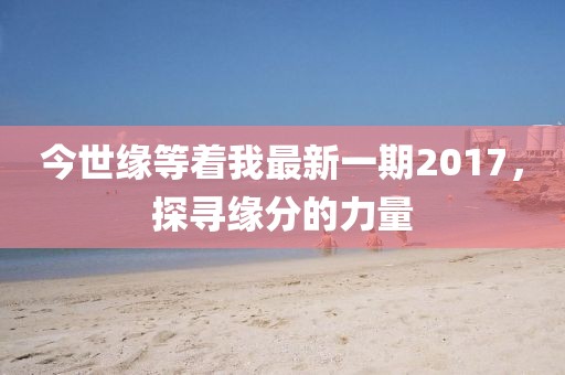 今世缘等着我最新一期2017，探寻缘分的力量