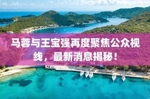 马蓉与王宝强再度聚焦公众视线，最新消息揭秘！