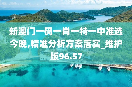 新澳门一码一肖一特一中准选今晚,精准分析方案落实_维护版96.57