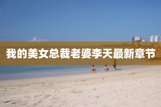 我的美女总裁老婆李天最新章节