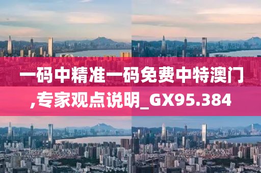 一码中精准一码免费中特澳门,专家观点说明_GX95.384