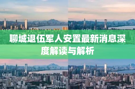 聊城退伍军人安置最新消息深度解读与解析