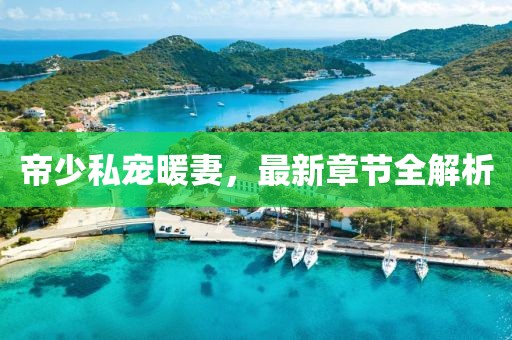 帝少私宠暖妻，最新章节全解析