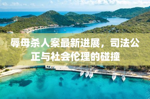 辱母杀人案最新进展，司法公正与社会伦理的碰撞
