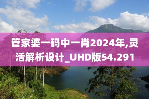 管家婆一码中一肖2024年,灵活解析设计_UHD版54.291
