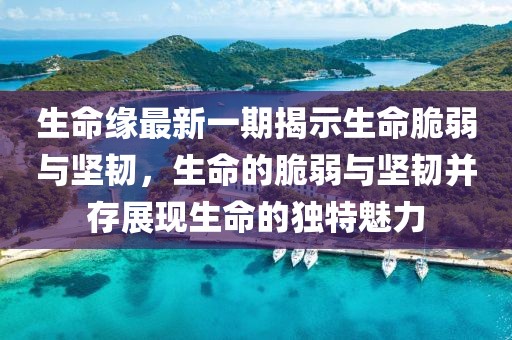 生命缘最新一期揭示生命脆弱与坚韧，生命的脆弱与坚韧并存展现生命的独特魅力