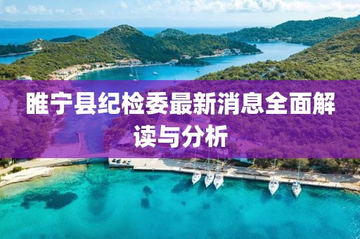 睢宁县纪检委最新消息全面解读与分析