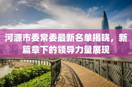河源市委常委最新名单揭晓，新篇章下的领导力量展现