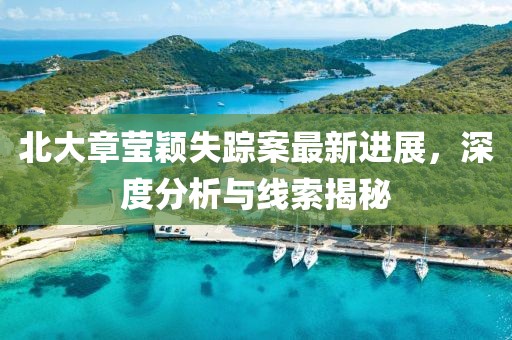 北大章莹颖失踪案最新进展，深度分析与线索揭秘