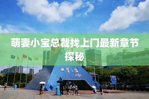 萌妻小宝总裁找上门最新章节探秘