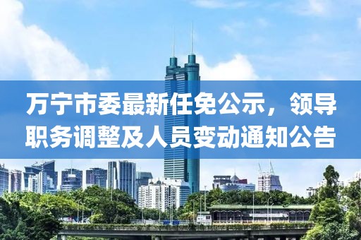 万宁市委最新任免公示，领导职务调整及人员变动通知公告