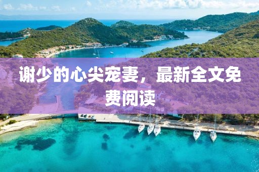 谢少的心尖宠妻，最新全文免费阅读