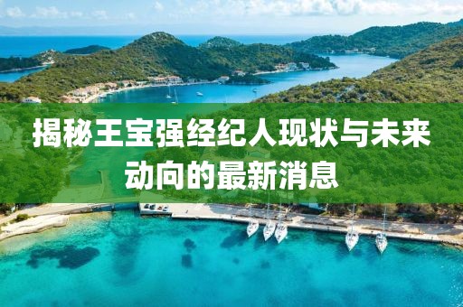 揭秘王宝强经纪人现状与未来动向的最新消息