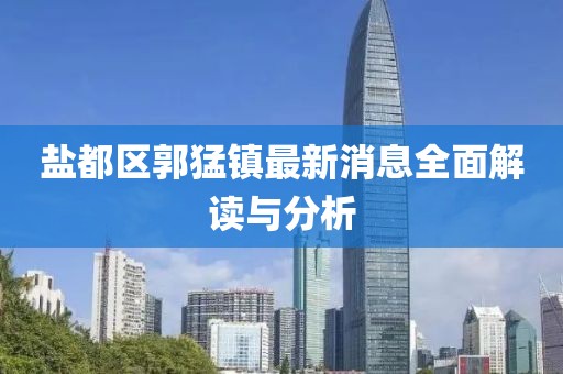 盐都区郭猛镇最新消息全面解读与分析