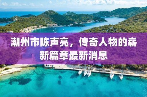 潮州市陈声亮，传奇人物的崭新篇章最新消息