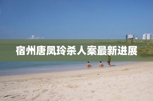 宿州唐凤玲杀人案最新进展