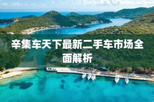 辛集车天下最新二手车市场全面解析
