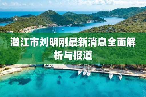 潜江市刘明刚最新消息全面解析与报道