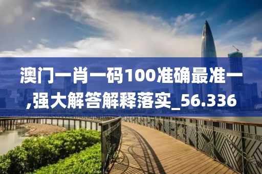澳门一肖一码100准确最准一,强大解答解释落实_56.336