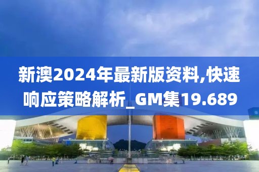 新澳2024年最新版资料,快速响应策略解析_GM集19.689