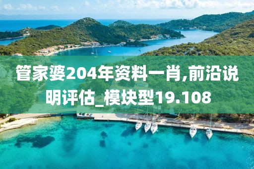 管家婆204年资料一肖,前沿说明评估_模块型19.108