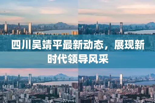 四川吴靖平最新动态，展现新时代领导风采