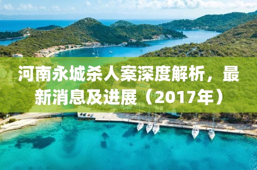 河南永城杀人案深度解析，最新消息及进展（2017年）