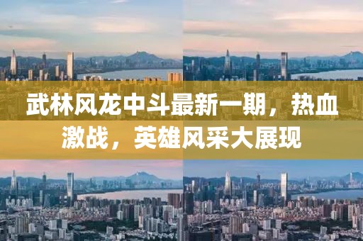 武林风龙中斗最新一期，热血激战，英雄风采大展现