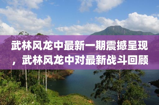 武林风龙中最新一期震撼呈现，武林风龙中对最新战斗回顾