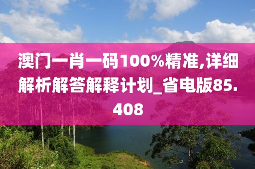 澳门一肖一码100%精准,详细解析解答解释计划_省电版85.408