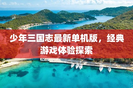 少年三国志最新单机版，经典游戏体验探索