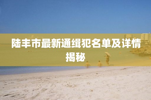 陆丰市最新通缉犯名单及详情揭秘