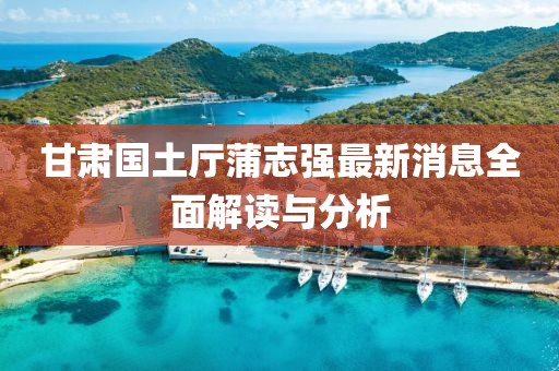 甘肃国土厅蒲志强最新消息全面解读与分析