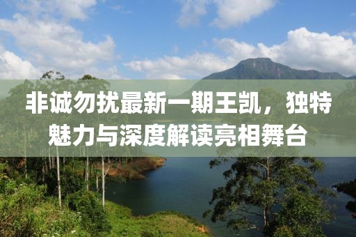 非诚勿扰最新一期王凯，独特魅力与深度解读亮相舞台