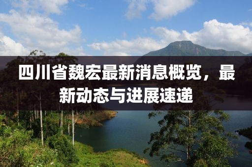四川省魏宏最新消息概览，最新动态与进展速递