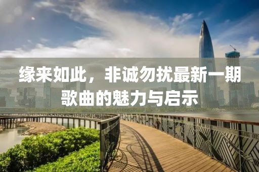 缘来如此，非诚勿扰最新一期歌曲的魅力与启示