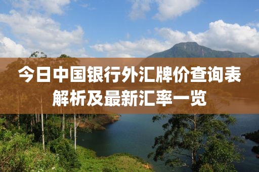 今日中国银行外汇牌价查询表解析及最新汇率一览