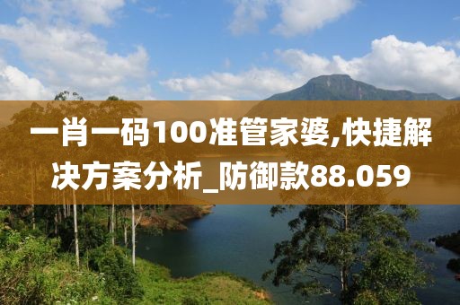 一肖一码100准管家婆,快捷解决方案分析_防御款88.059