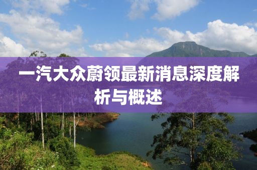 一汽大众蔚领最新消息深度解析与概述