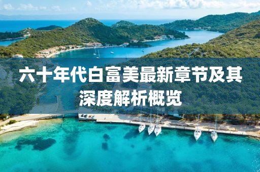 六十年代白富美最新章节及其深度解析概览
