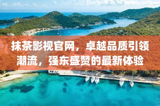 抹茶影视官网，卓越品质引领潮流，强东盛赞的最新体验