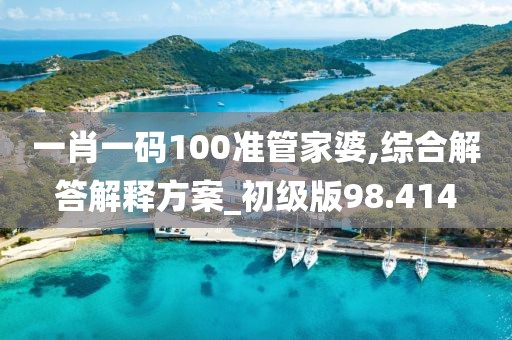 一肖一码100准管家婆,综合解答解释方案_初级版98.414