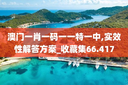 澳门一肖一码一一特一中,实效性解答方案_收藏集66.417