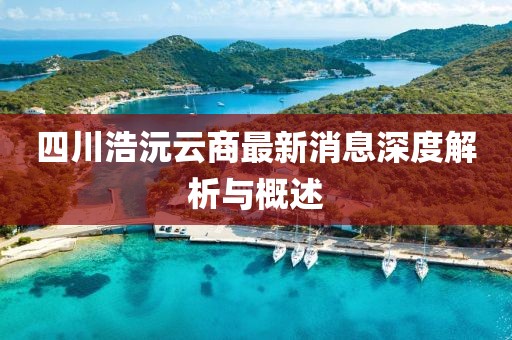 四川浩沅云商最新消息深度解析与概述