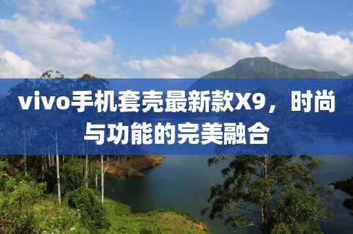 vivo手机套壳最新款X9，时尚与功能的完美融合