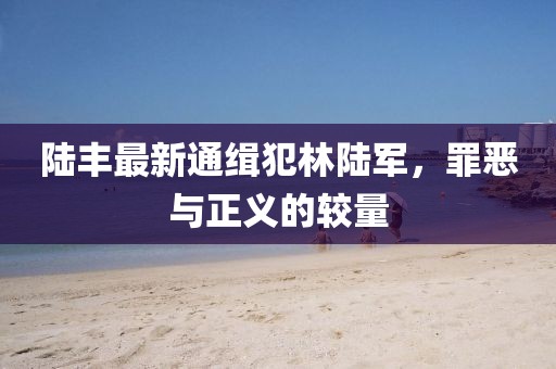 陆丰最新通缉犯林陆军，罪恶与正义的较量