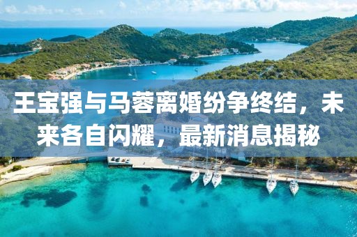 王宝强与马蓉离婚纷争终结，未来各自闪耀，最新消息揭秘