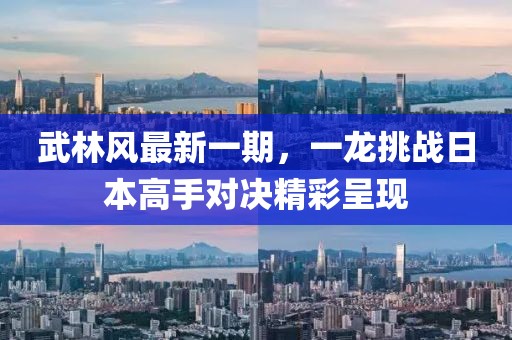 武林风最新一期，一龙挑战日本高手对决精彩呈现